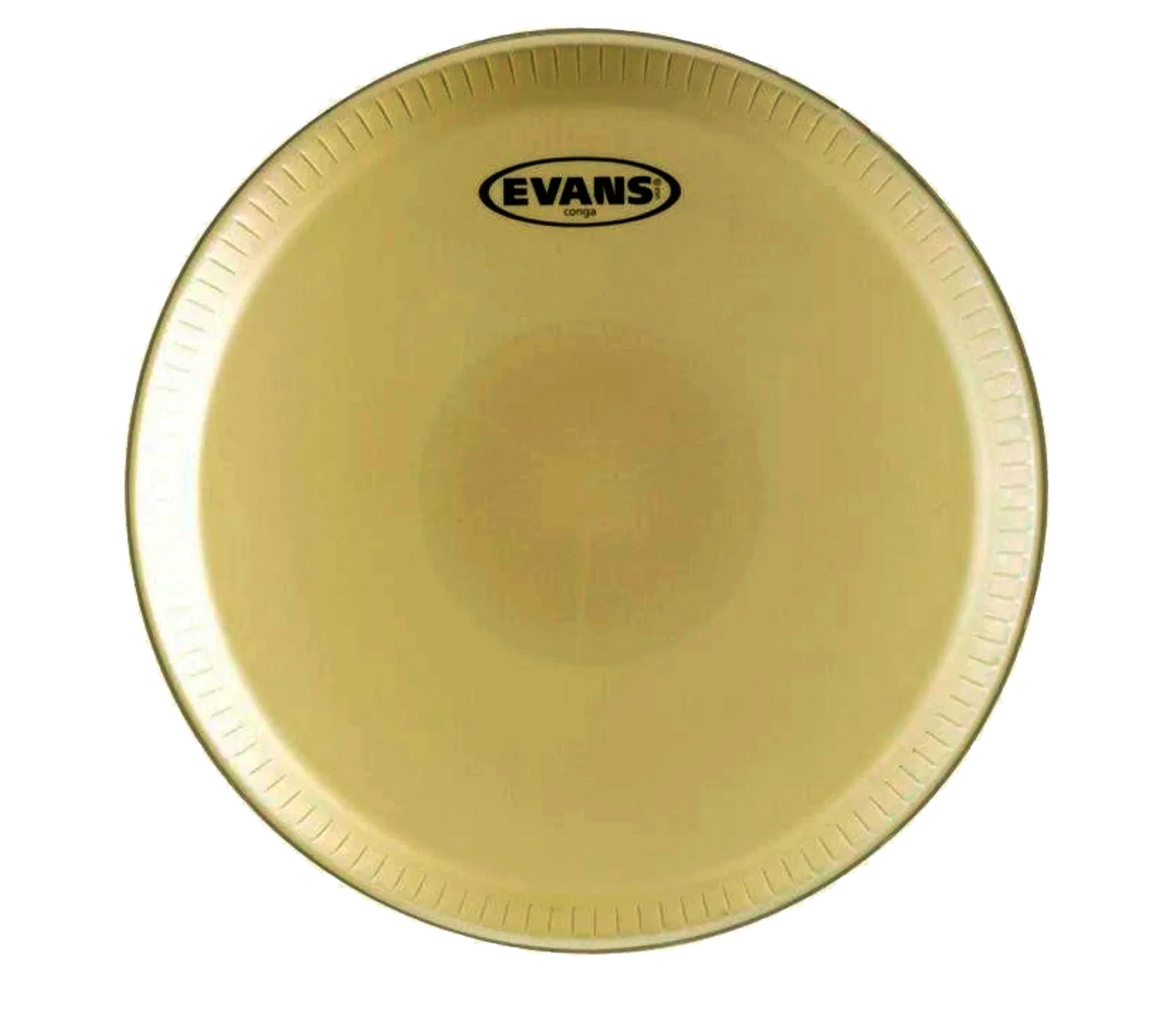 Evans EC1100 Peau De Conga Tri-Center 11 Pouces - Son Authentique